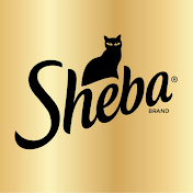 SHEBA® Brand