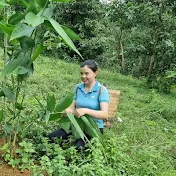 Triệu Mi Nhi