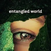 Entangled World