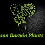 Nelson Darwin Plant Yard