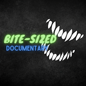 Bite-sized Documentaries