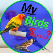 My Birds s - Kms