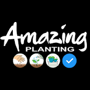 Amazing Planting