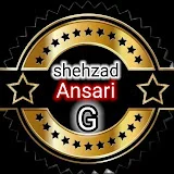 Shajad Ansari G