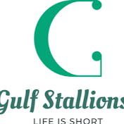 gulf stallions