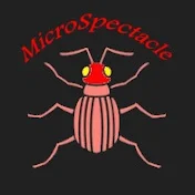 MicroSpectacle