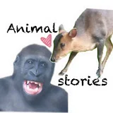 Animal stories南西西動物報報