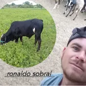 BOM DA ROÇA