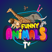 Funny Animals TV