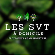 Les SVT à domicile