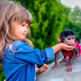 Приключения Ангелины и гамадрилёнка Люси в Тайгане