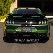 TDShelby