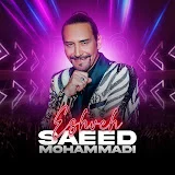 Saeid Mohammadi - Topic