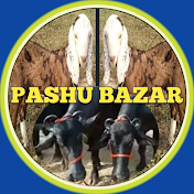 Pashu bazar