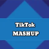 TikTok Mashup