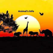 Animal’s Info