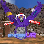 EnderVR