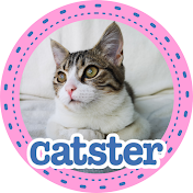 Catster