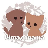 保護犬の預かりVlog〜 Lima o mama〜