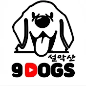 S. KOREA 9 DOGS