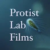 Protist Lab Films