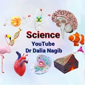 Dr Dalia Nagib