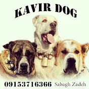 Kavir_Dog_Kennel2