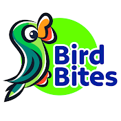 Bird Bites