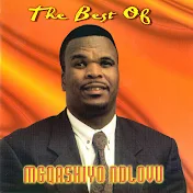 Mgqashiyo Ndlovu - Topic