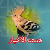 هدهد الأخبار