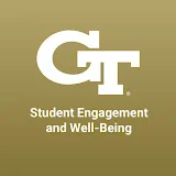 Georgia Tech Student Engagement and Well-Being