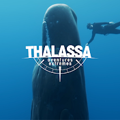 Thalassa - France Télévisions