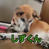 しずくんチャンネル