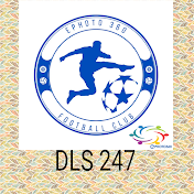 DLS 247