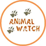 Animal Watch