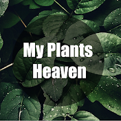 My plants Heaven