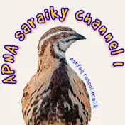 APNA SARAIKY CHANNEL 1