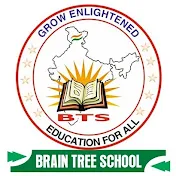 Brain Tree School