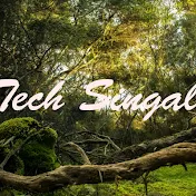 Tech Singal life