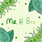 Mr H Bio