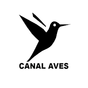 Canal Aves