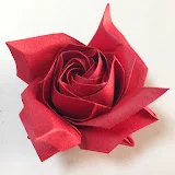 Masahiro Ichikawa - ORIGAMI ROSE