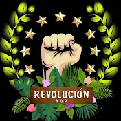 Revolución Arequipa Toadas