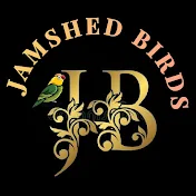 JAMSHED BIRDS