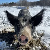 Red Pine Ridge Farm