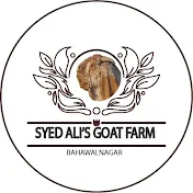 Syed Ali Goat Farm