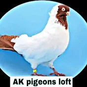 Ak pigeons Loft