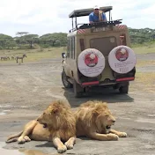 OMG Safaris and Travel