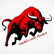 Sindhi Cattle Market