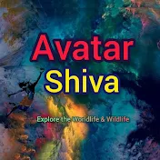 Avatar Shiva Official